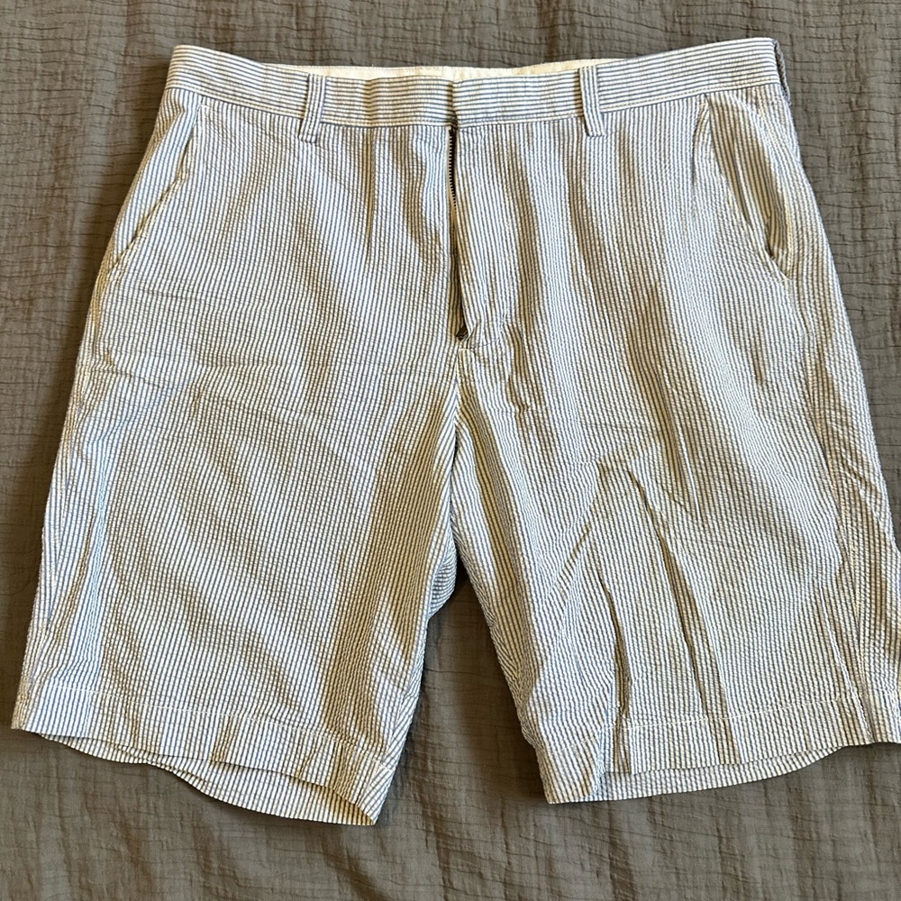 J. Crew Men's Blue Striped Shorts 9”
